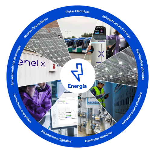 Servicio Integral flota eléctrica